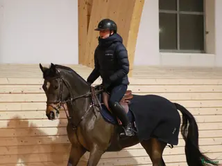 hästar 12 år, valack, 148 cm - Annons 5