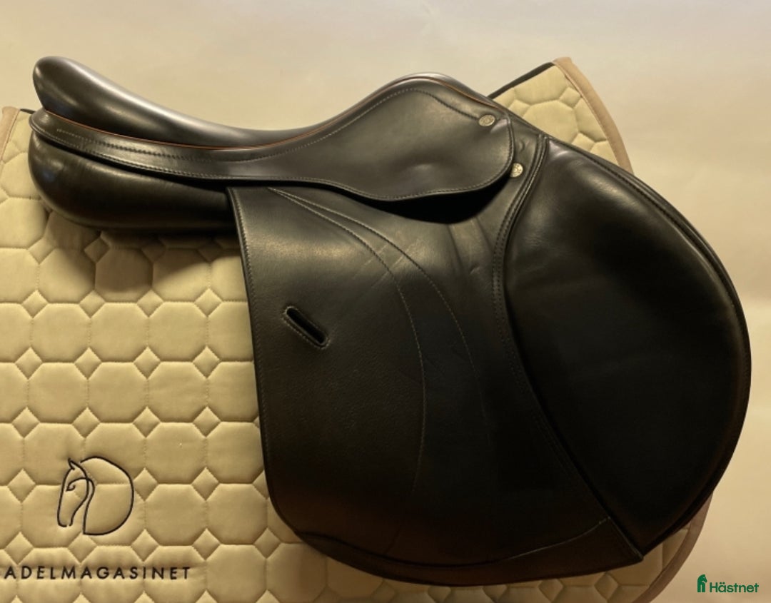 Sadlar hästutrustning till salu: Fin begagnad Expression Special från 2019 i Lund - Annons 3