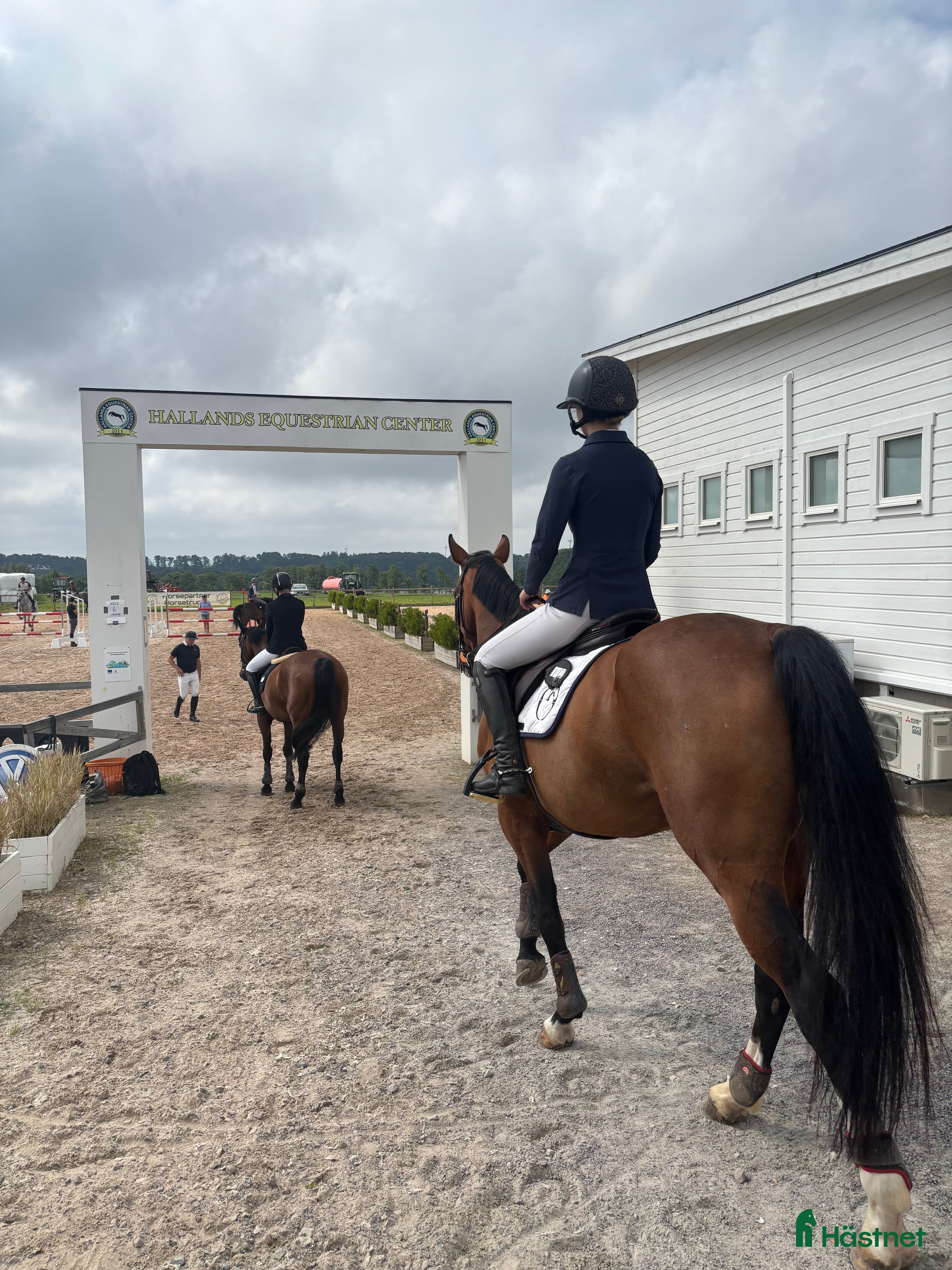  hästservice Utbildning/Försäljning HBG i Helsingborg - Annons 17