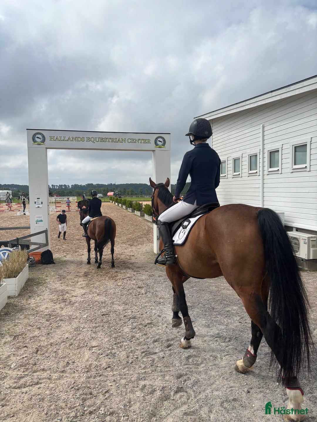  hästservice finnes: Utbildning/Försäljning HBG i Helsingborg - Annons 1