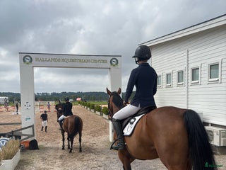 hästservice Utbildning/Försäljning HBG i Helsingborg - Annons 18