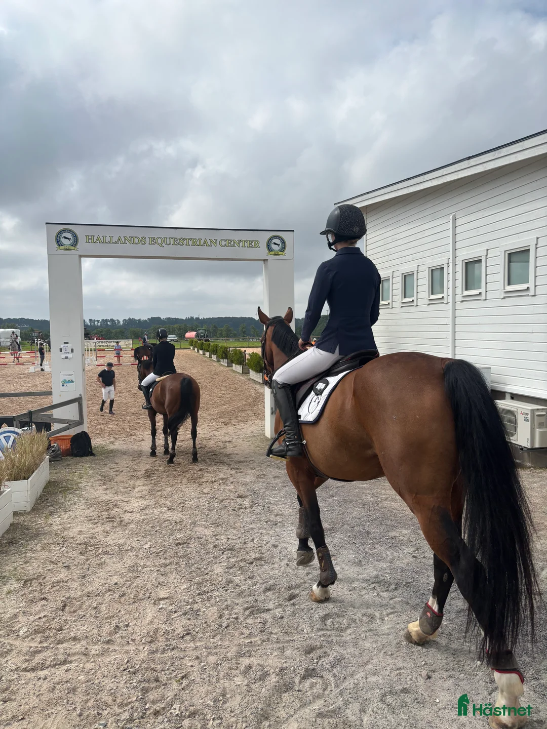  hästservice finnes: Utbildning/Försäljning HBG - Annons 1