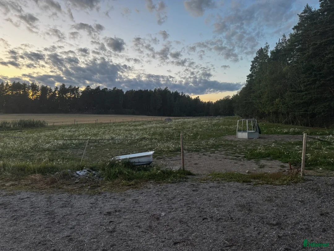  stallplats finnes: Ledig boxplats i Rosersberg - Annons 5