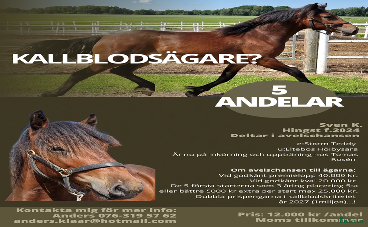  hästar i Uppsala - Annons 3