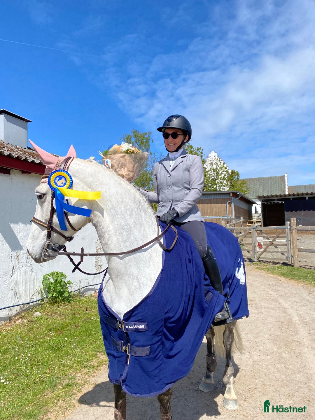 Hoppning hästar till salu: Toppstammat kvalitetssto Connemara  i Ekeby - Bild 12