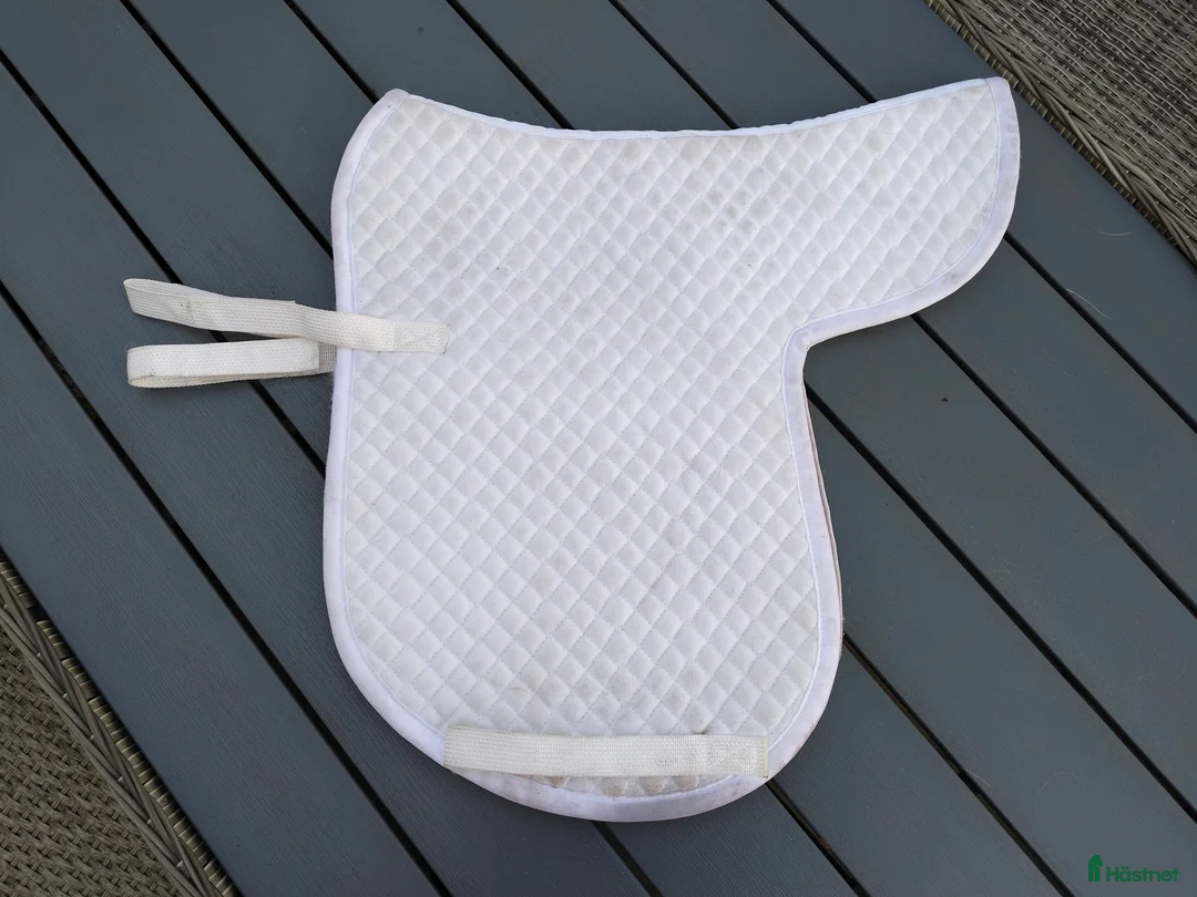 Schabrak & Vojlockar hästutrustning till salu: Diverse schabrak, paddar & vojlockar i Ljungbyholm - Annons 22