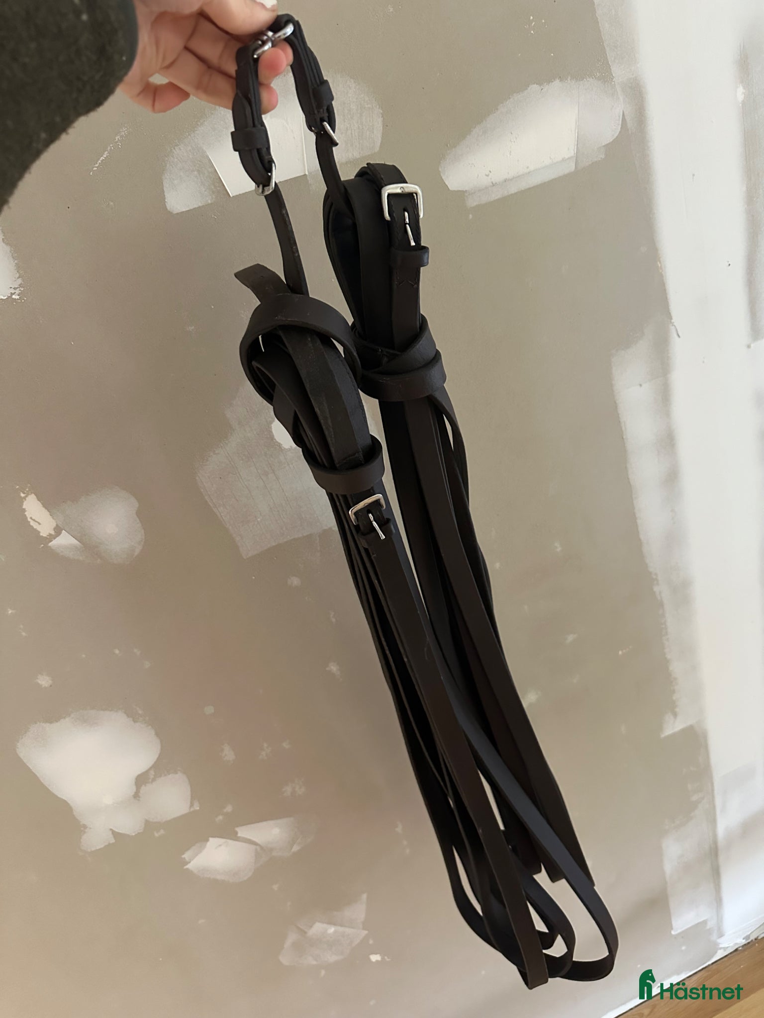 Övrig Hästutrustning hästutrustning Globus tömkörningstöm - Annons 2