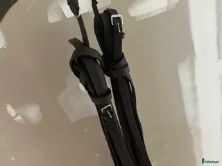 Övrig Hästutrustning hästutrustning Globus tömkörningstöm - Annons 2