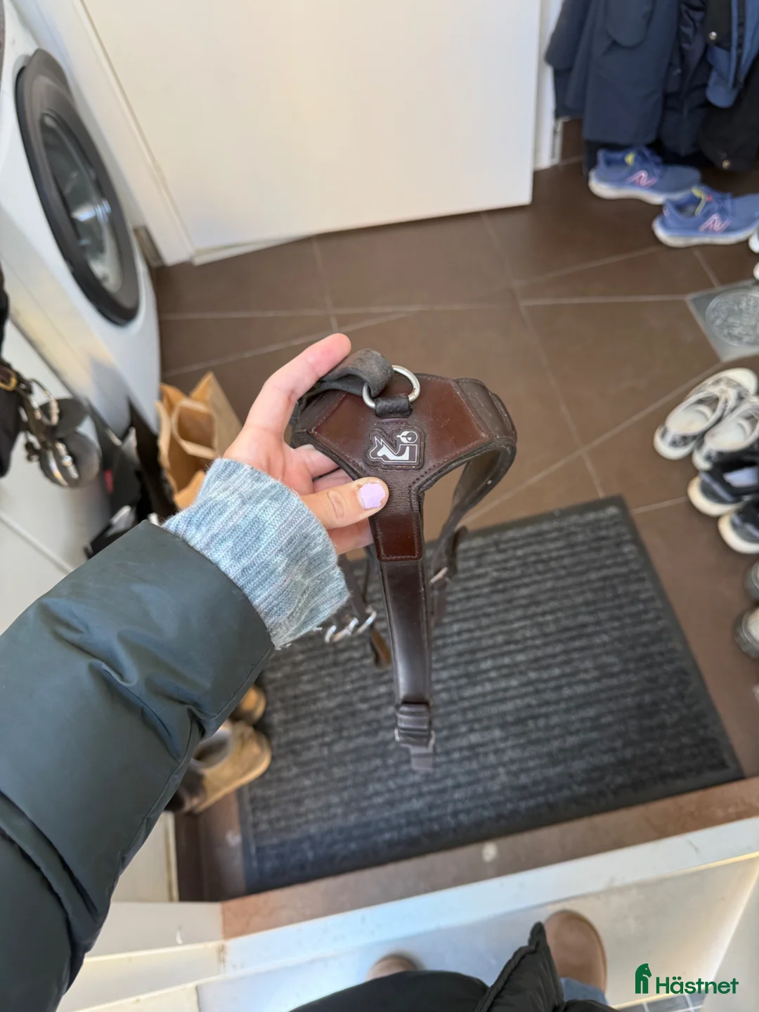 Sadeltillbehör hästutrustning till salu: Prestige martingal - Annons 1