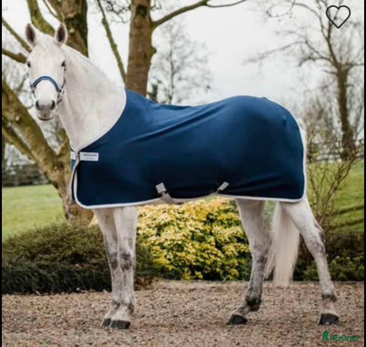 Täcken hästutrustning till salu: Jersey Cooler täcke i Fagersta - Annons 17