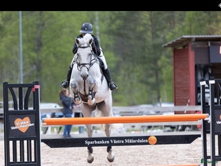 hästservice In-tillridning/problemlösning i Kungsör - Annons 9