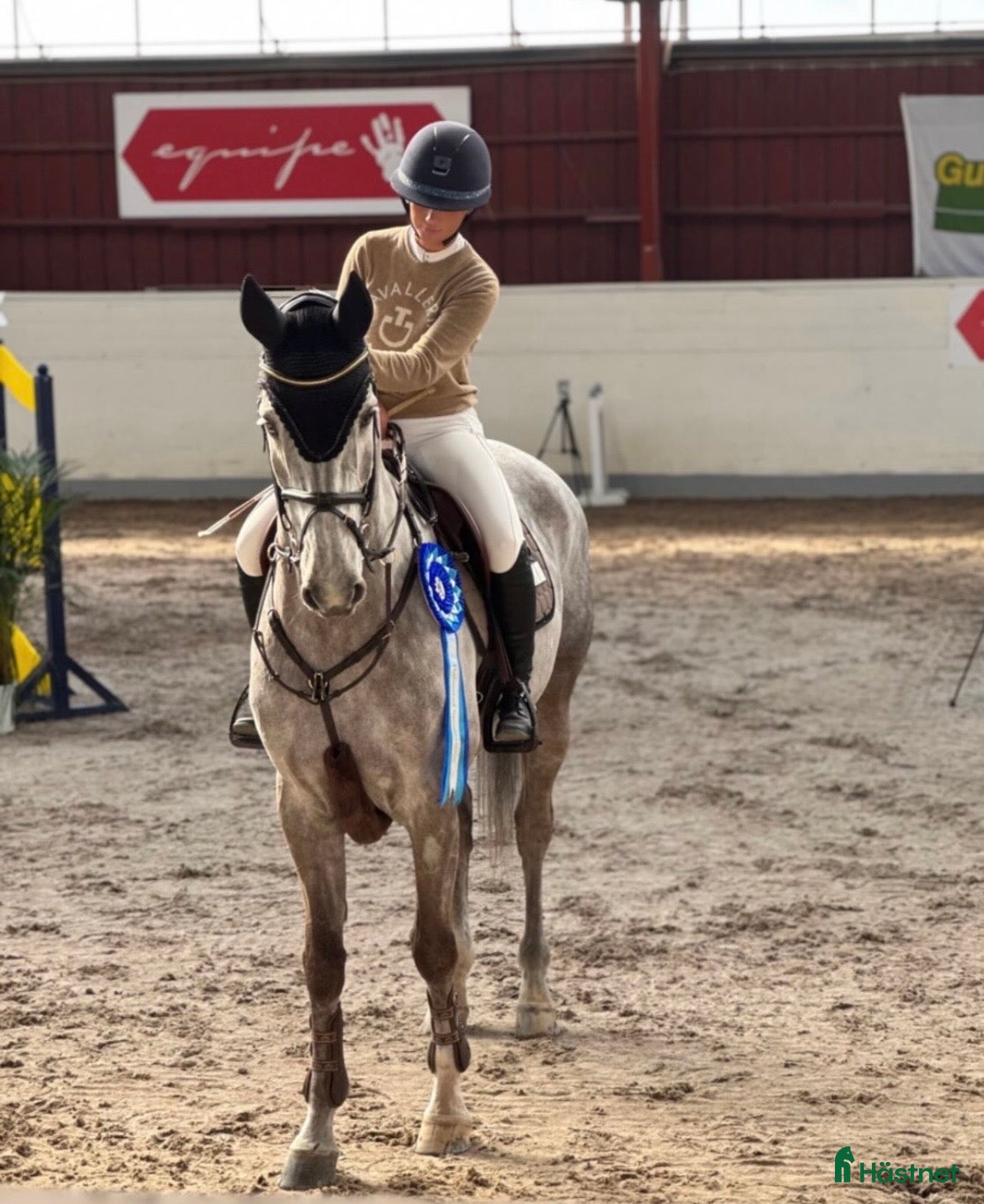  hästar Välriden hoppvallack  i Halmstad - Annons 15