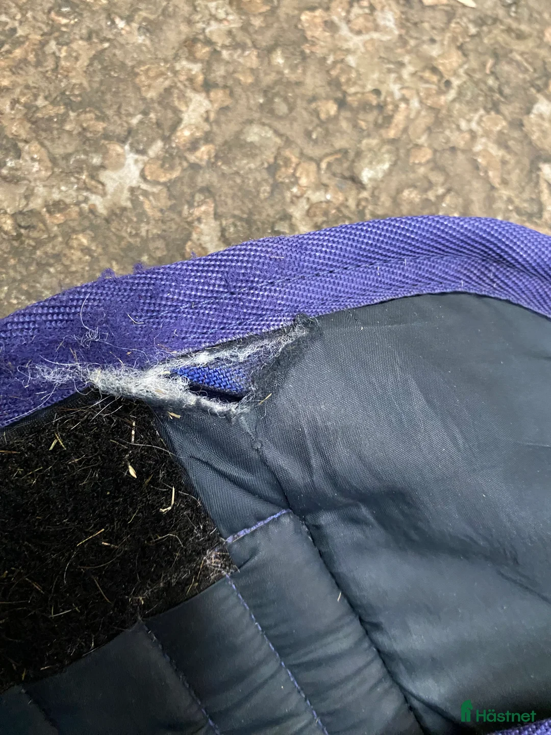 Täcken hästutrustning till salu: Stalltäcke - Annons 3