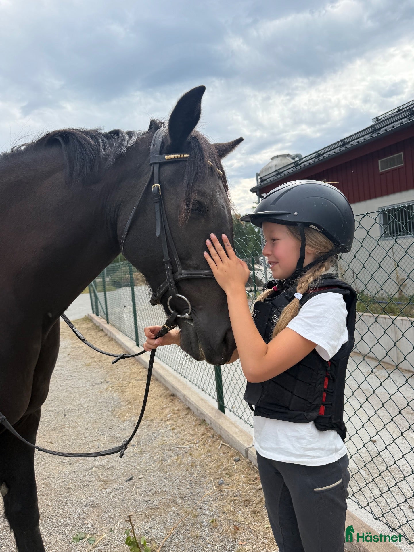  hästar SÖKES – trygg och trevlig C/D-ponny ❤️ - Annons 2