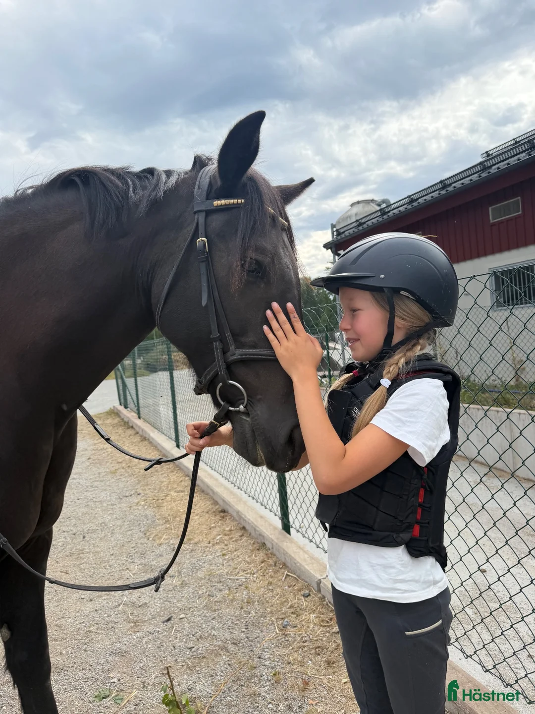 Allround hästar sökes: SÖKES – trygg och trevlig C/D-ponny ❤️ - Annons 1