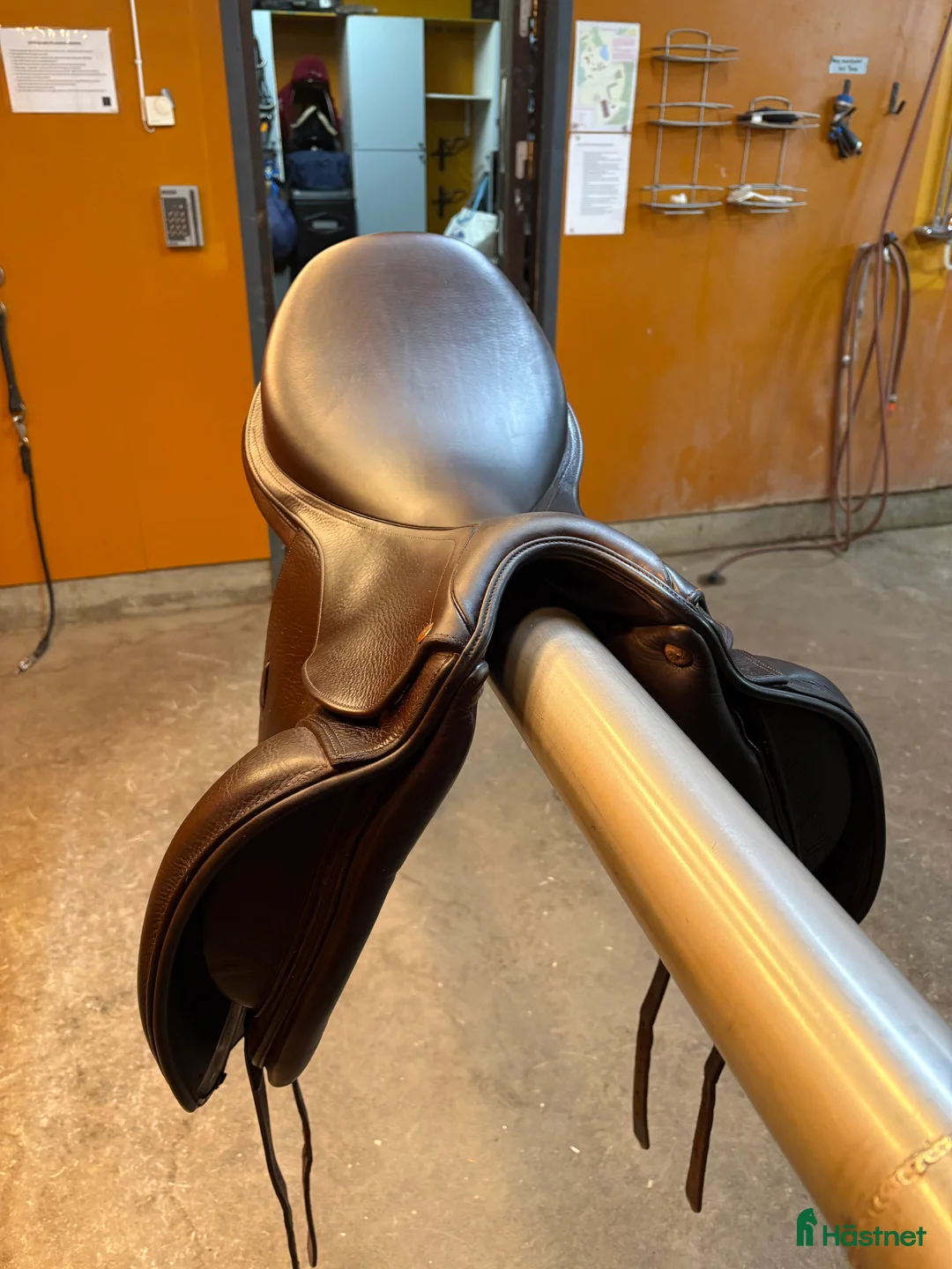 Sadlar hästutrustning till salu: Prisvärd Lippo Azzario - Annons 2