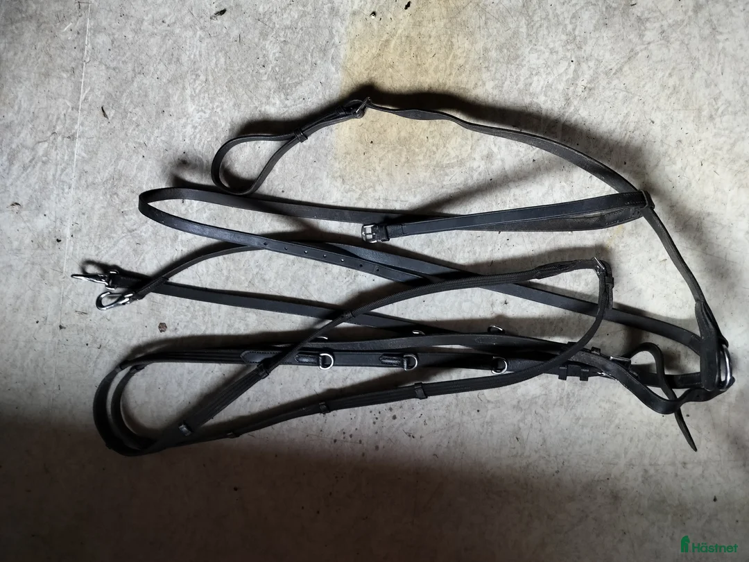 Övrig Hästutrustning hästutrustning till salu: Rensar ut häst - Annons 1