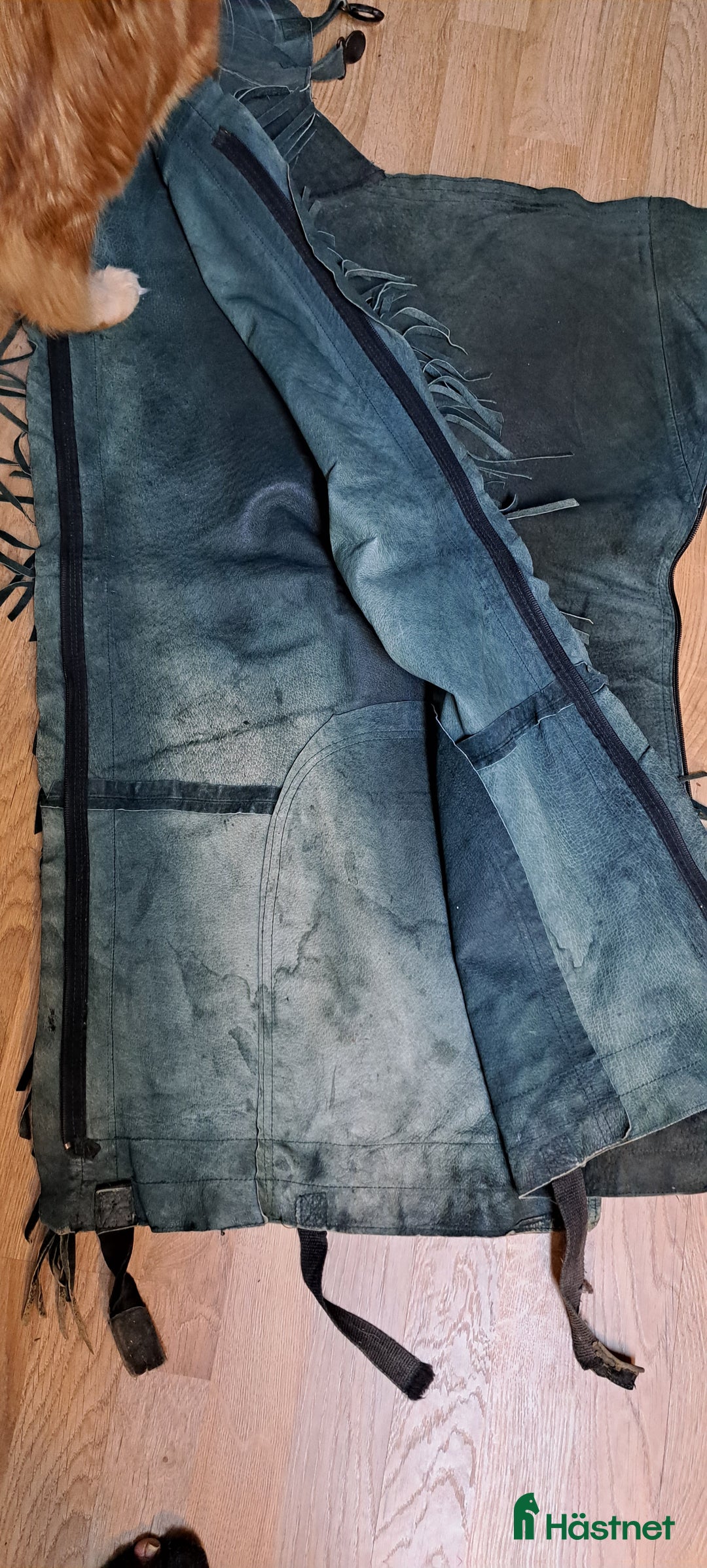 Övrig Ryttarutrustning ryttarutrustning till salu: Hel chaps med fransar i Sjöbo - Annons 3