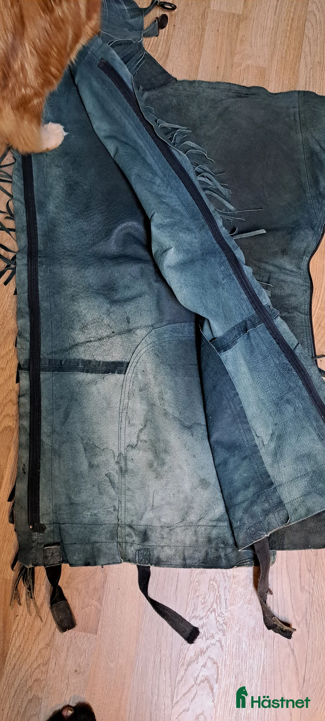 Övrig Ryttarutrustning ryttarutrustning till salu: Hel chaps med fransar i Sjöbo - Annons 3