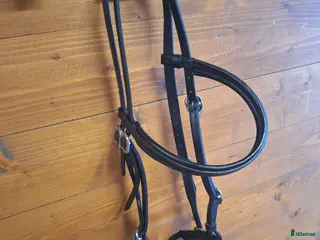 Träns hästutrustning Bettlöst träns i Vänersborg - Annons 22