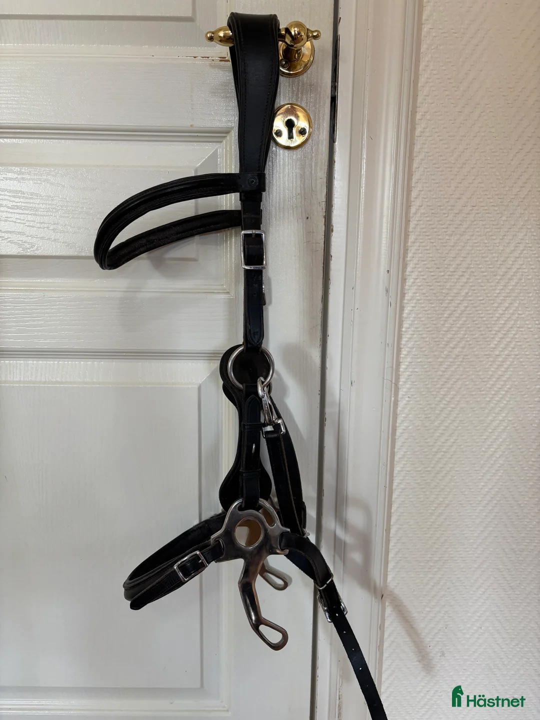 Träns hästutrustning till salu: Huvudlag bettlös  - Annons 2