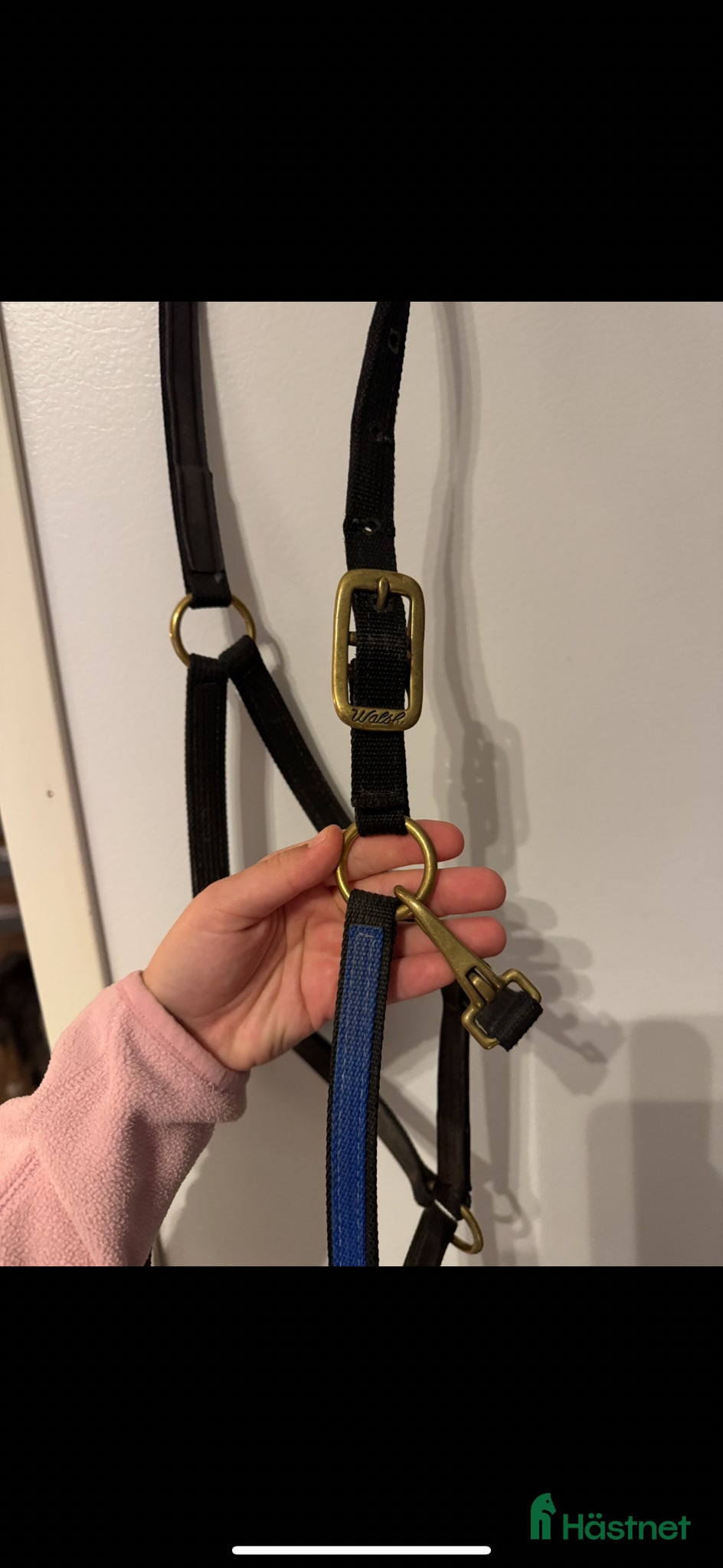 Övrig Hästutrustning hästutrustning Jätte fin walsh grimma  - Annons 7