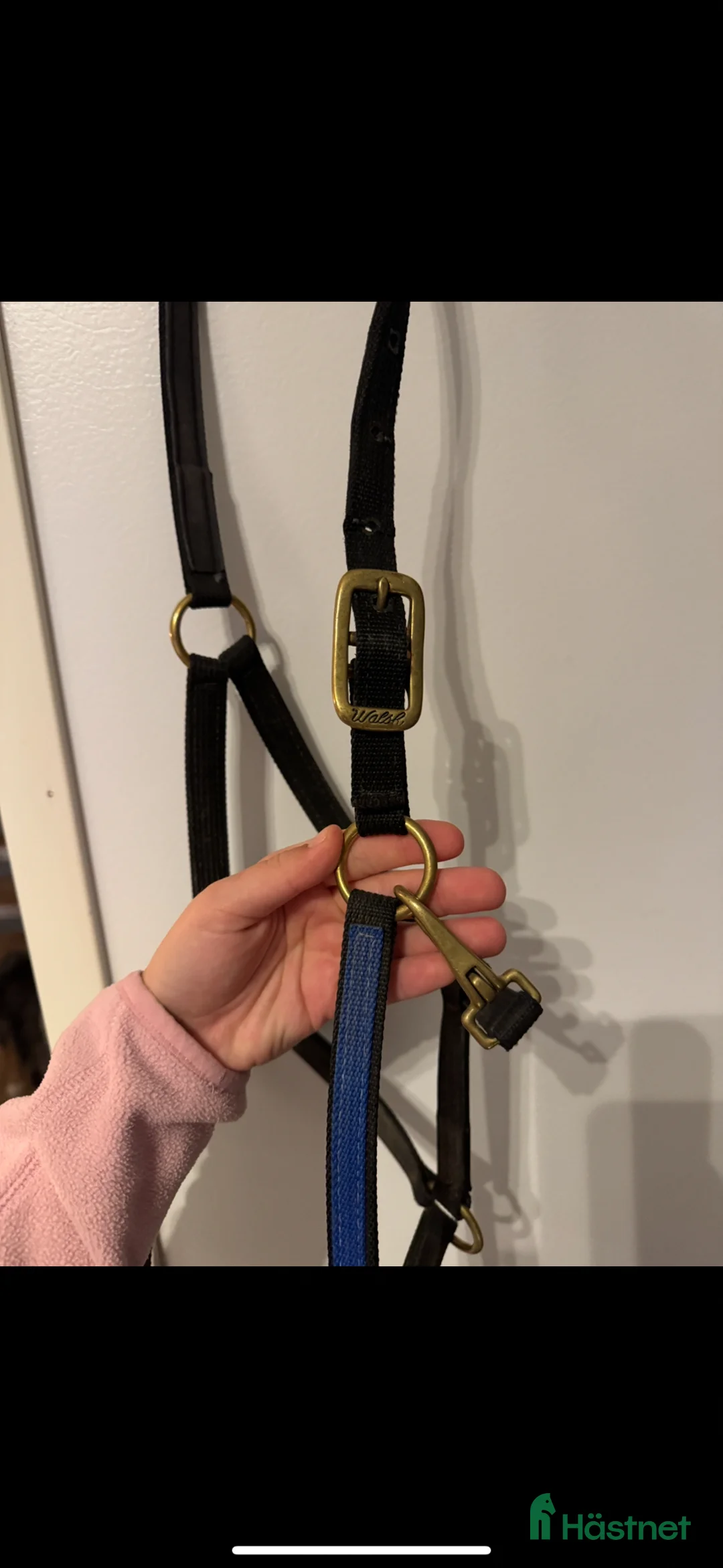 Övrig Hästutrustning hästutrustning till salu: Jätte fin walsh grimma  - Annons 1