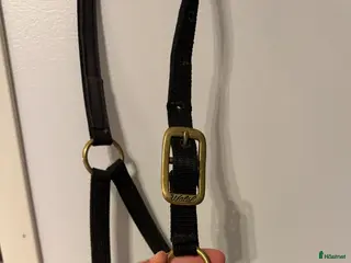 Övrig Hästutrustning hästutrustning Jätte fin walsh grimma - Annons 7