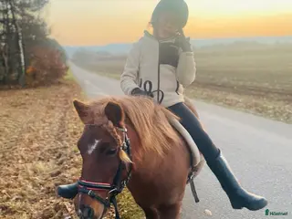 hästar Bästa läromästaren - Annons 1