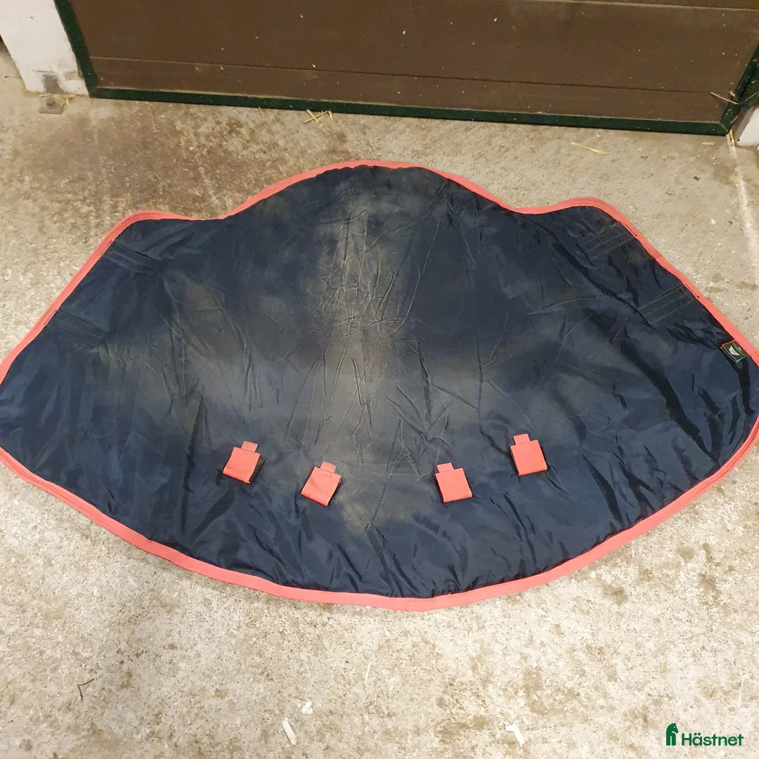 Täcken hästutrustning till salu: Amigo Bravo 12 plus 250g strl 6.3/140 - Annons 8