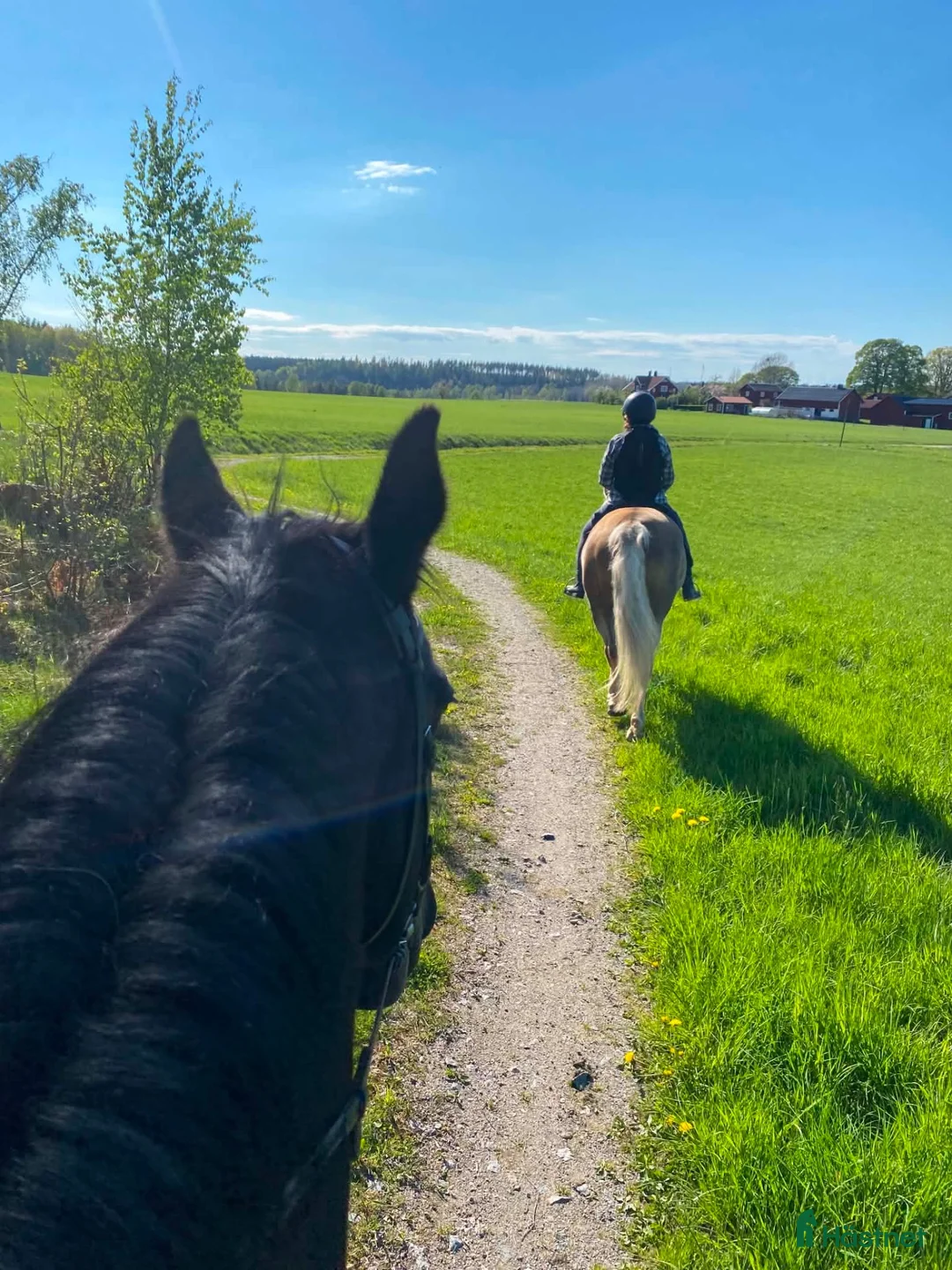  stallplats finnes: Stallplatser i vackra Grödinge - Annons 2