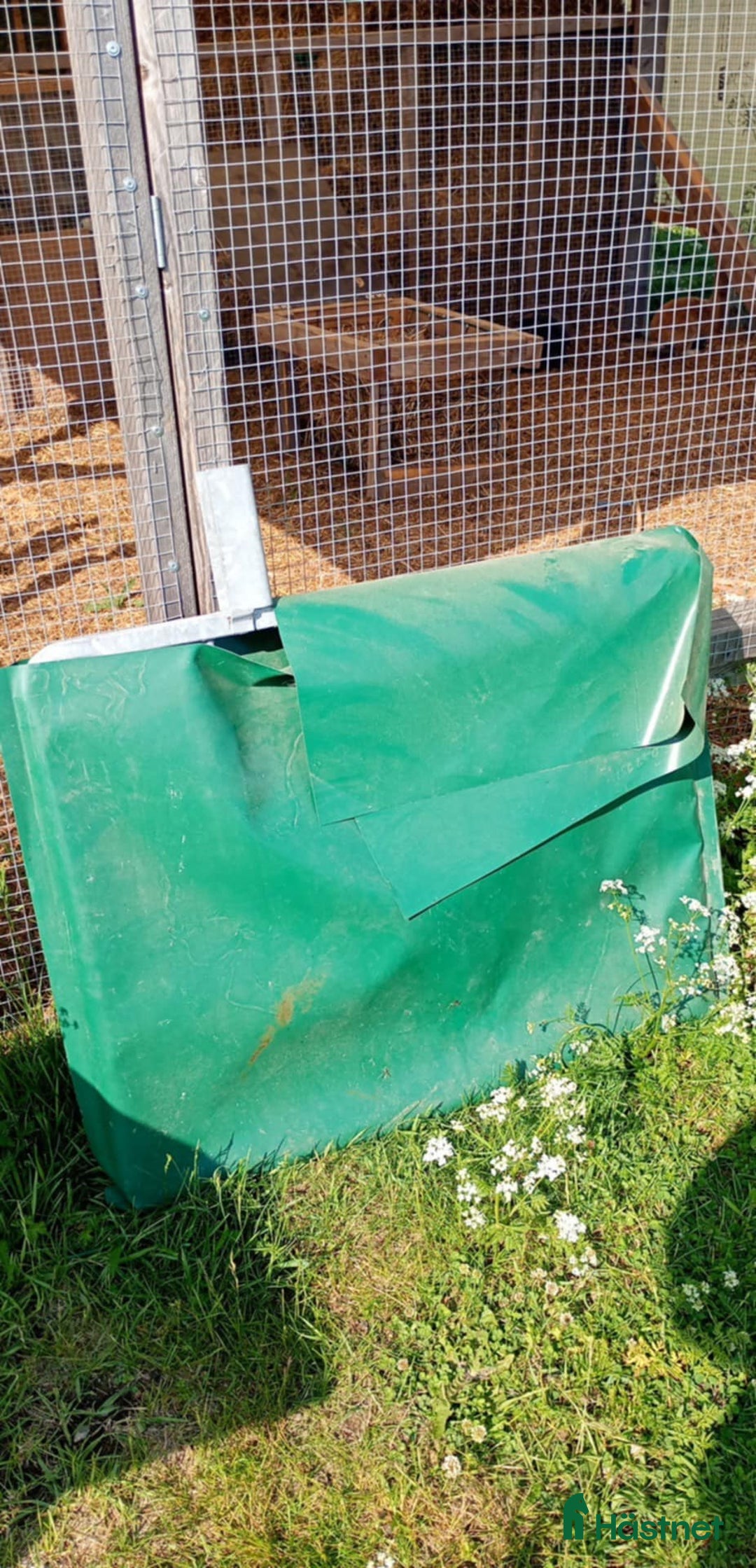 Hästtransporter  fordon & transport till salu: Henra Cayenne -07 i Almunge - Annons 11