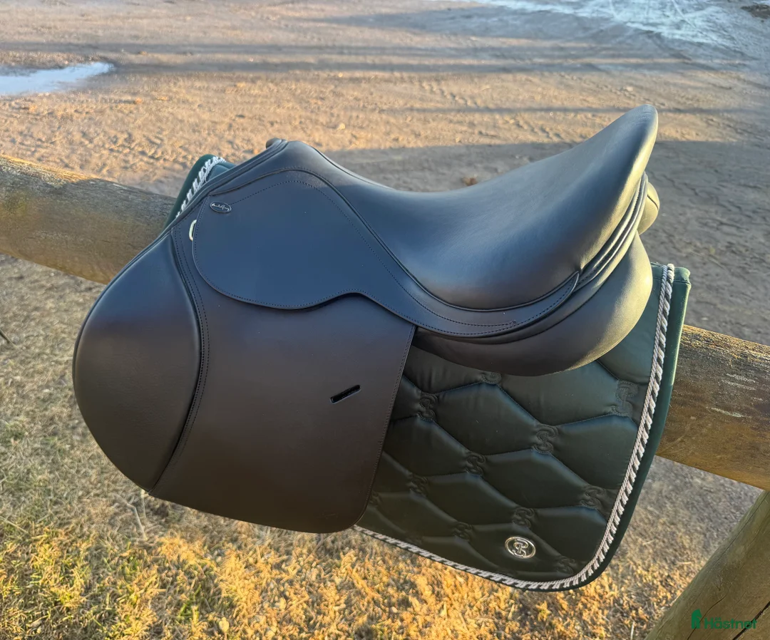 Sadlar hästutrustning till salu: Santa Cruz New Celine - Annons 1