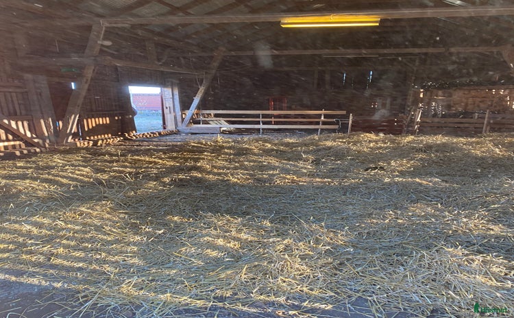  stallplats i Tystberga - Annons 5