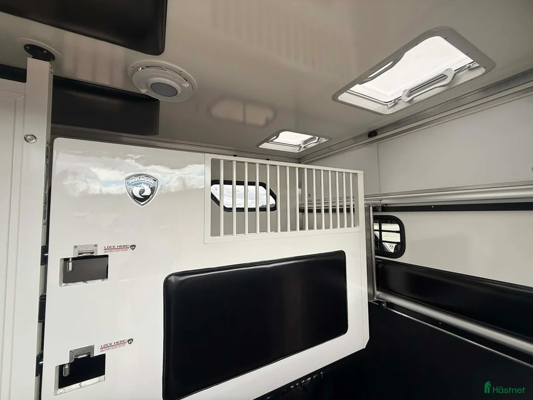 Hästlastbilar  fordon & transport till salu: PARAGAN EQUISTAR 3XL STUTERI  - Annons 8