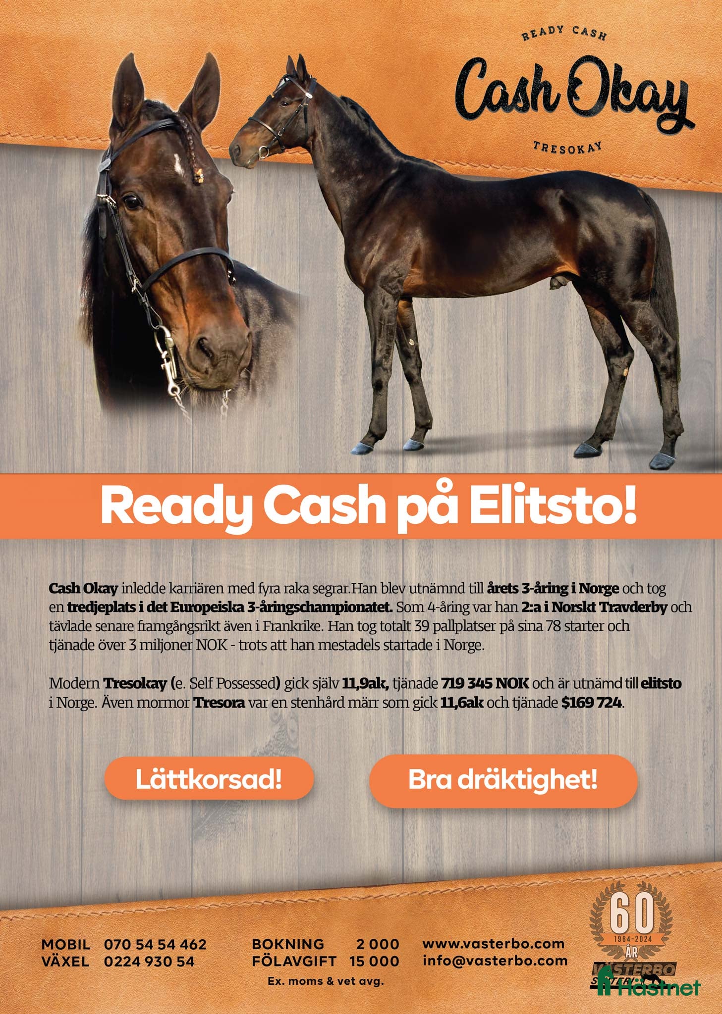  hästar ettåringar säljes - Annons 1
