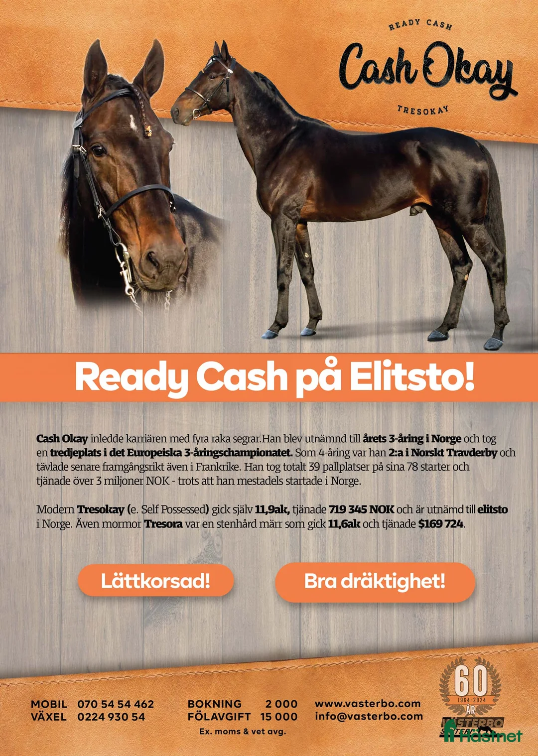 Trav hästar till salu: ettåringar säljes - Annons 1