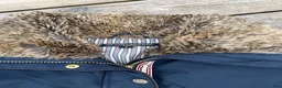 Jackor & Kavajer ryttarutrustning till salu: Ridjacka JH Collection - Annons 3