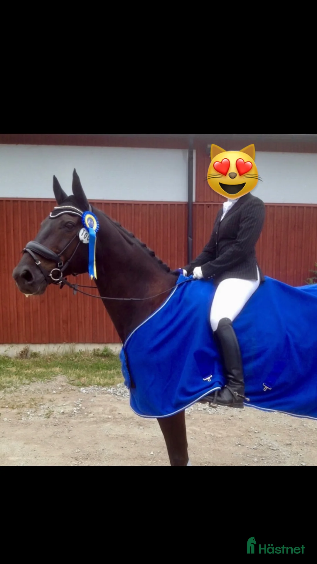 Jackor & Kavajer ryttarutrustning till salu: Pikeur kavaj  i Nyköping - Annons 3