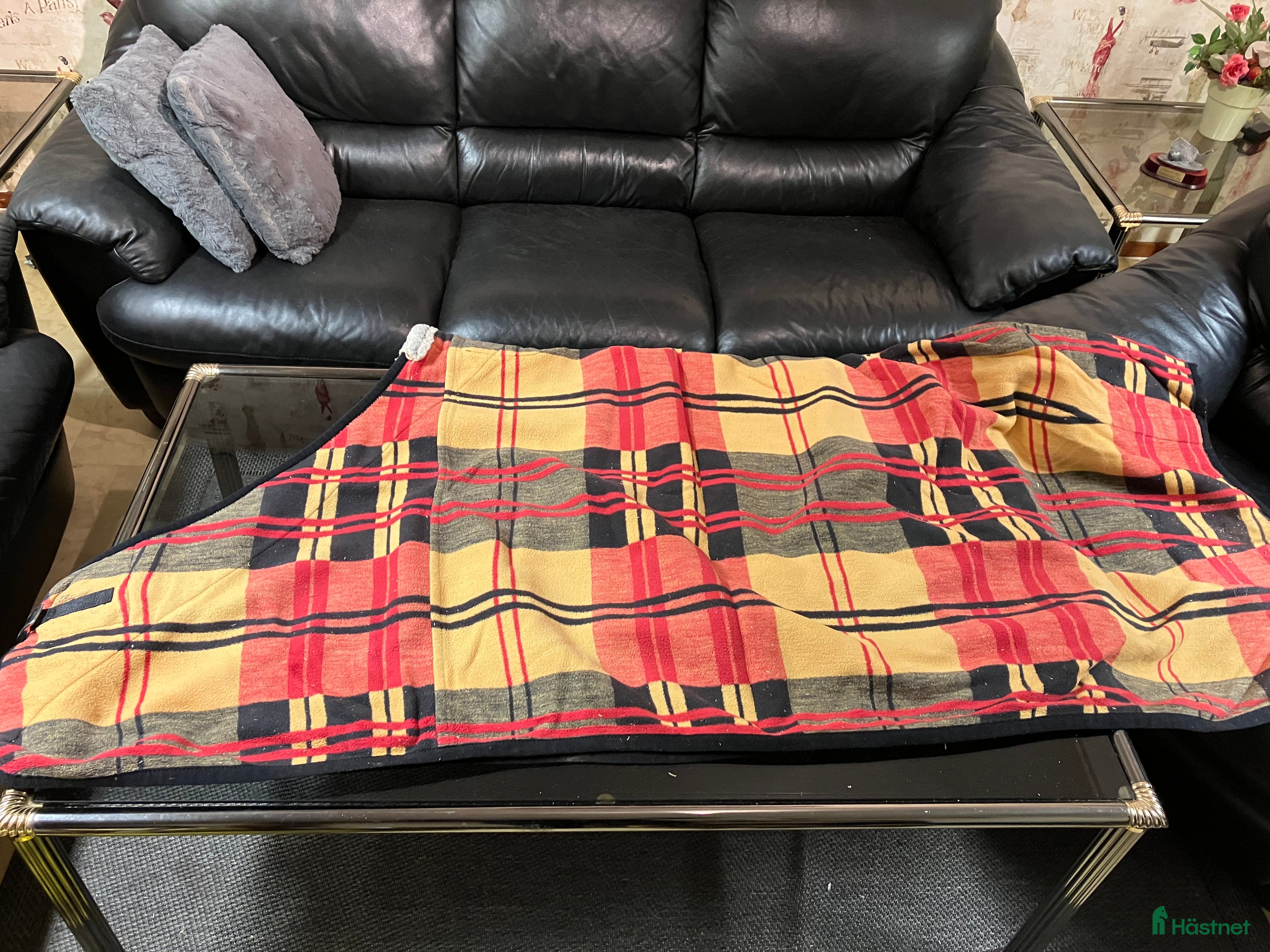 Täcken hästutrustning till salu: Tjockt fleecetäcke  - Annons 21