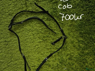 Sadeltillbehör hästutrustning till salu: Glen gordon nexus förbygel i Arvika - Annons 7