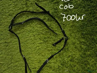 Sadeltillbehör hästutrustning till salu: Glen gordon nexus förbygel i Arvika - Annons 3