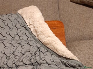 Täcken hästutrustning till salu: Jättemysigt stalltäcke i Tyresö - Annons 2