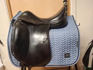 Sadlar hästutrustning Prestige Venus - Annons 19