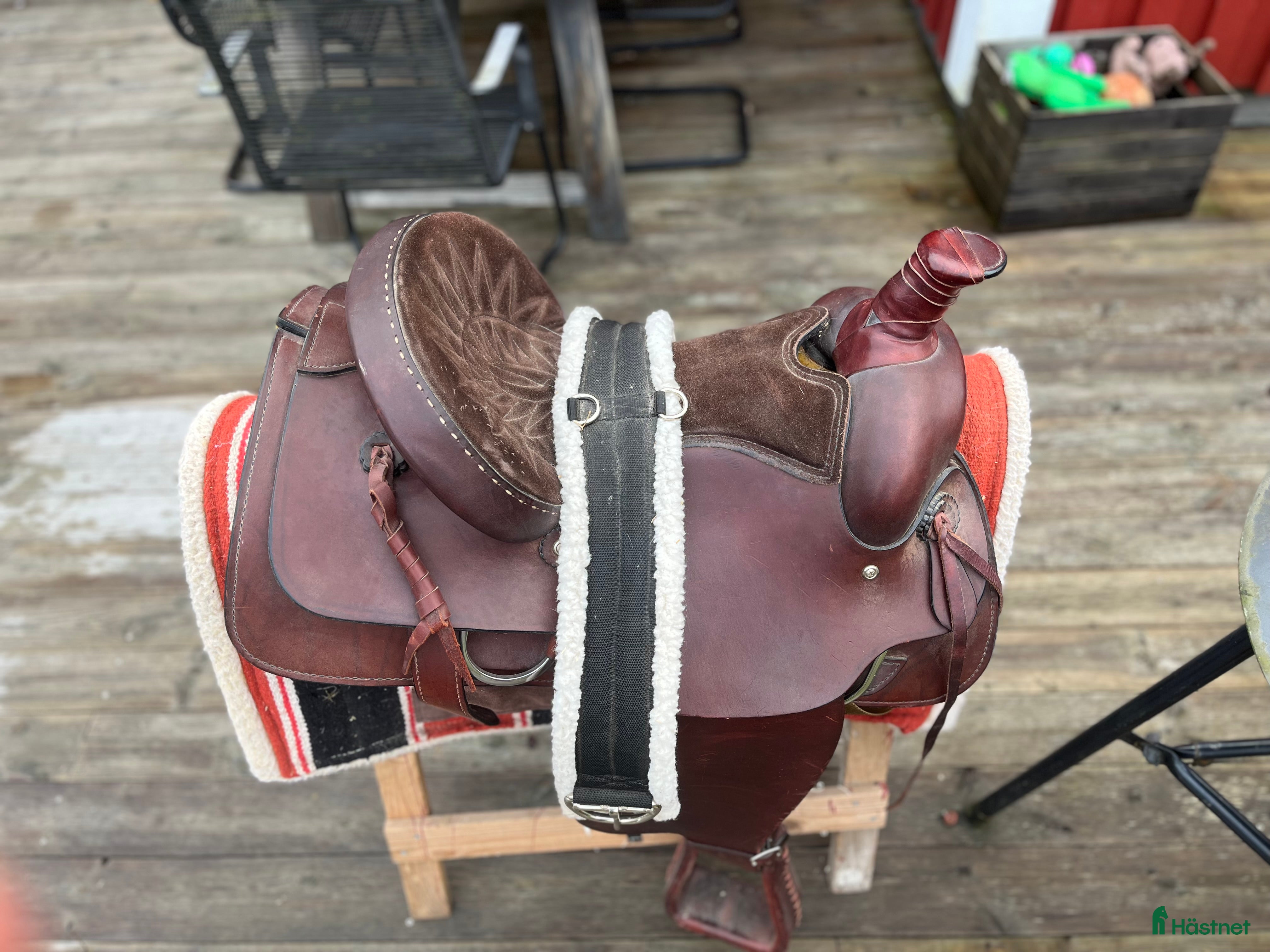 Sadlar hästutrustning till salu: Wester  sadeln  i Älmhult - Annons 12