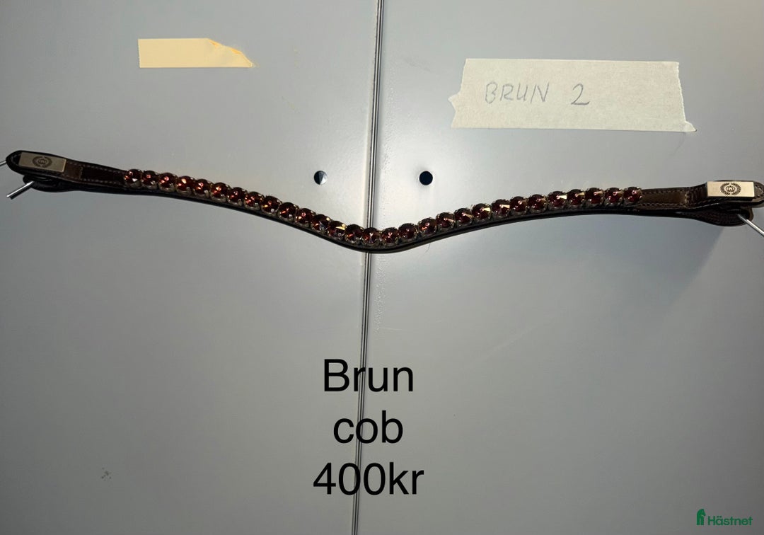 Träns hästutrustning till salu: Ps pannband i Färgelanda - Annons 4