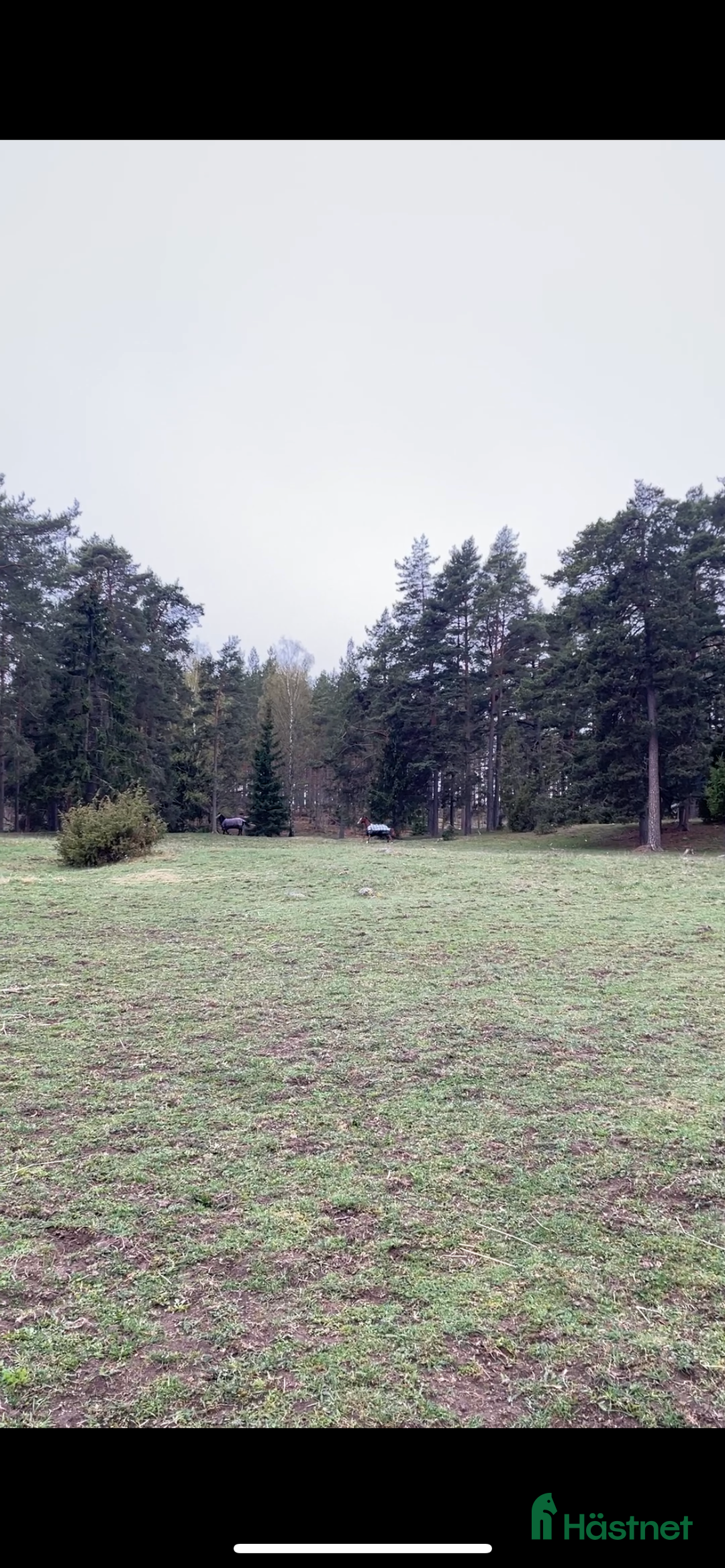  stallplats finnes: Stallplats  i Nyköping - Bild 4