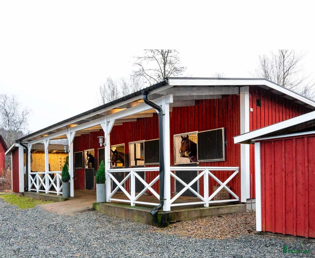 stallplats finnes: Stallplats finnes i Borås i Sparsör - Annons 3