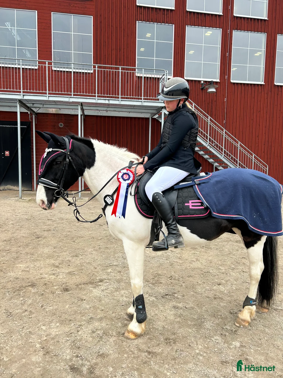 Allround hästar till salu: Din egen prinsessa ❤️ - Annons 3