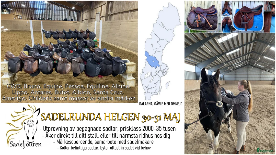 Sadlar hästutrustning till salu: Sadelutprovning Dalarna 30-31/5 - Annons 1